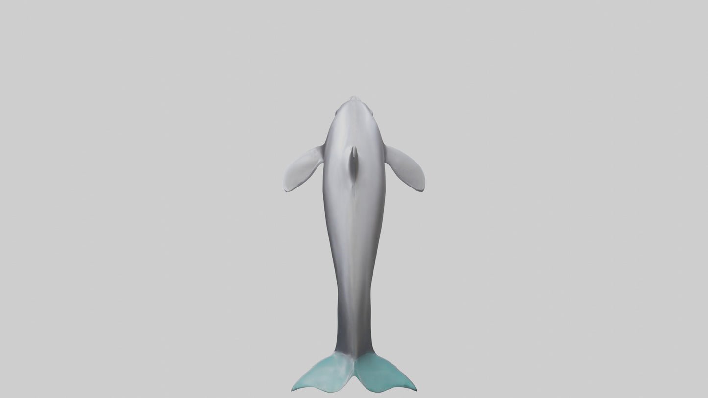 Dolphin Dorsal Fin Model VR / AR / low-poly