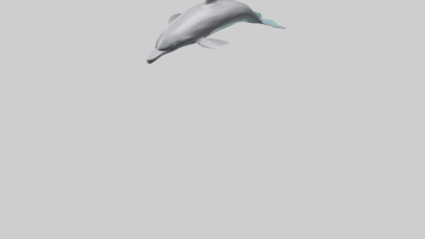 Dolphin Dorsal Fin Model VR / AR / low-poly