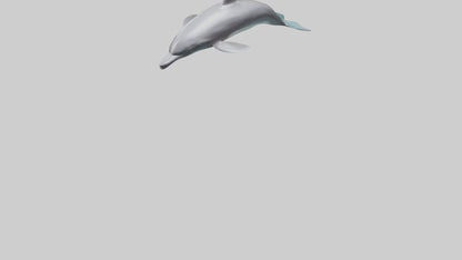 Dolphin Dorsal Fin Model VR / AR / low-poly