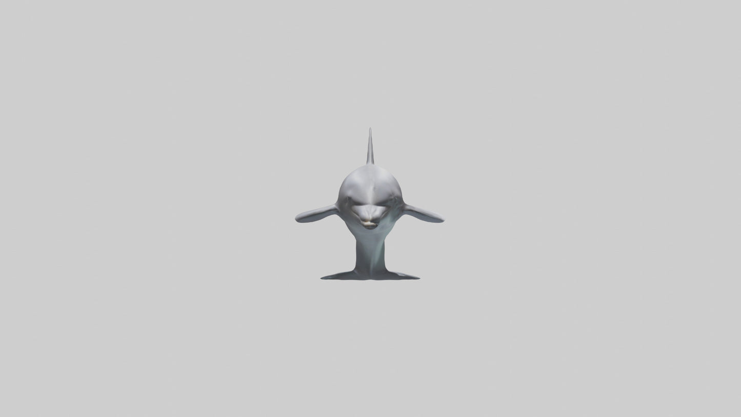 Dolphin Dorsal Fin Model VR / AR / low-poly