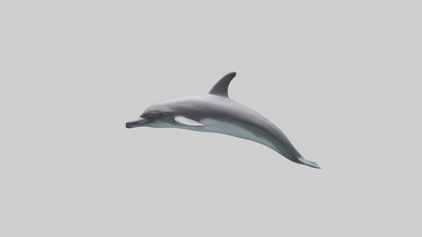 Dolphin Dorsal Fin Model VR / AR / low-poly