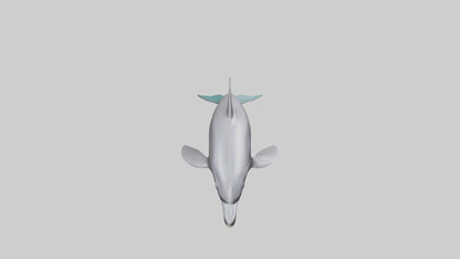 Dolphin Dorsal Fin Model VR / AR / low-poly