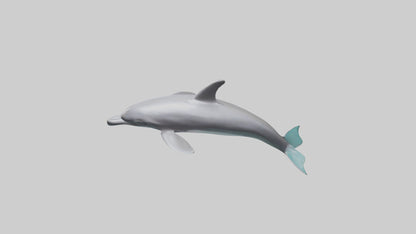 Dolphin Dorsal Fin Model VR / AR / low-poly