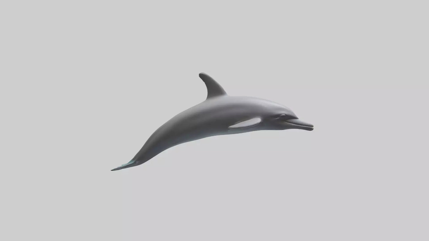 Dolphin Dorsal Fin Model VR / AR / low-poly