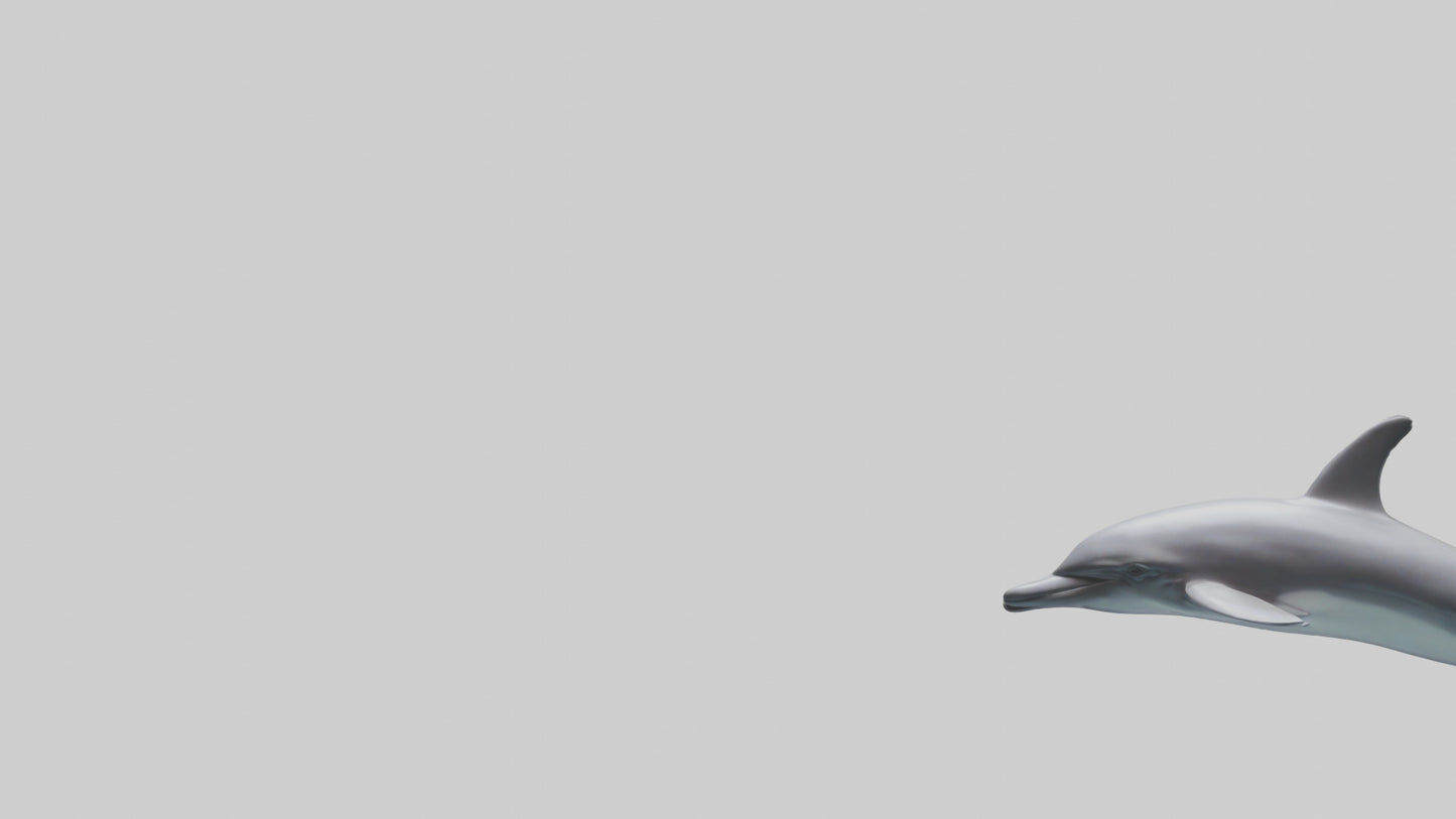 Dolphin Dorsal Fin Model VR / AR / low-poly