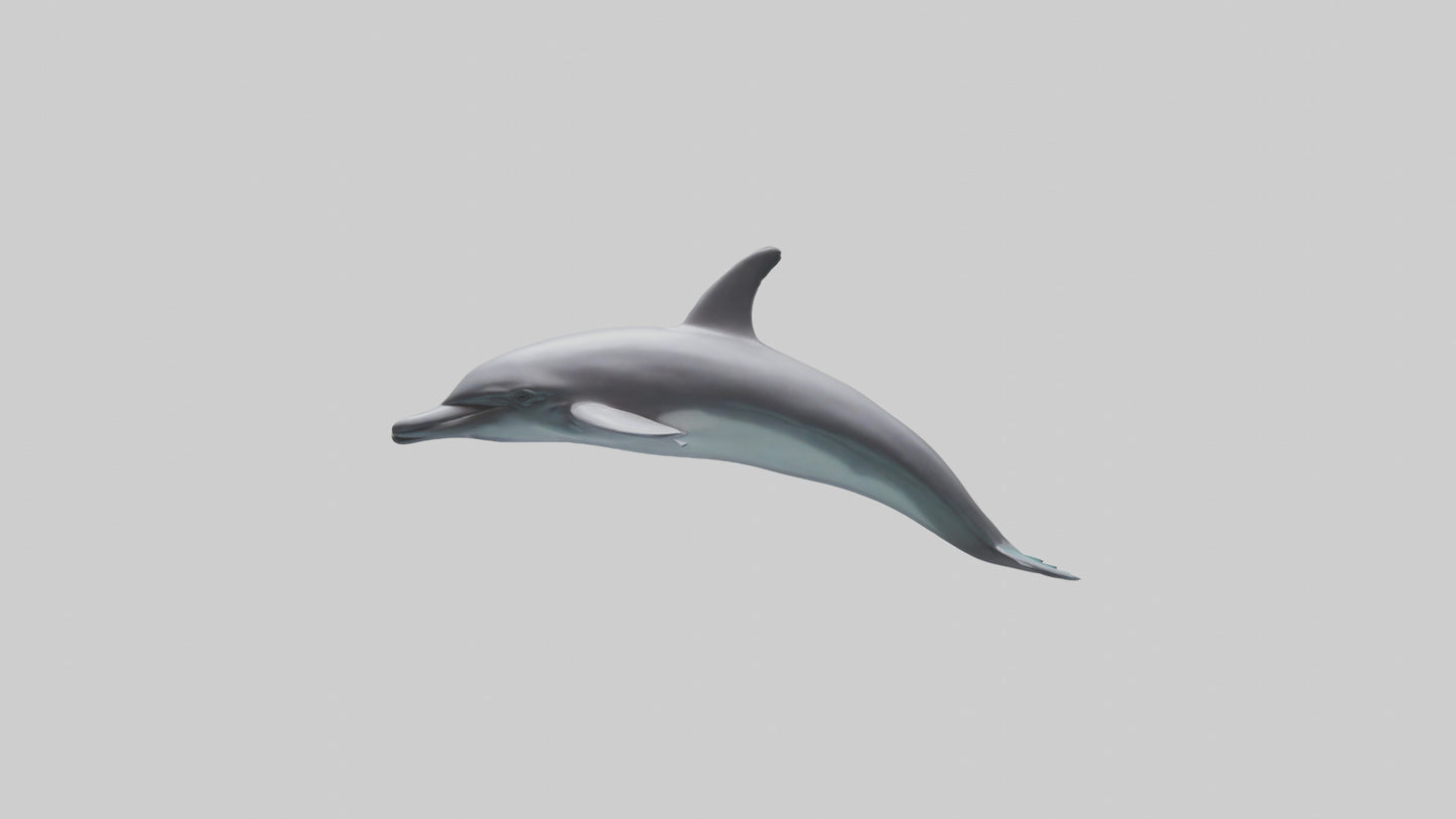 Dolphin Dorsal Fin Model VR / AR / low-poly