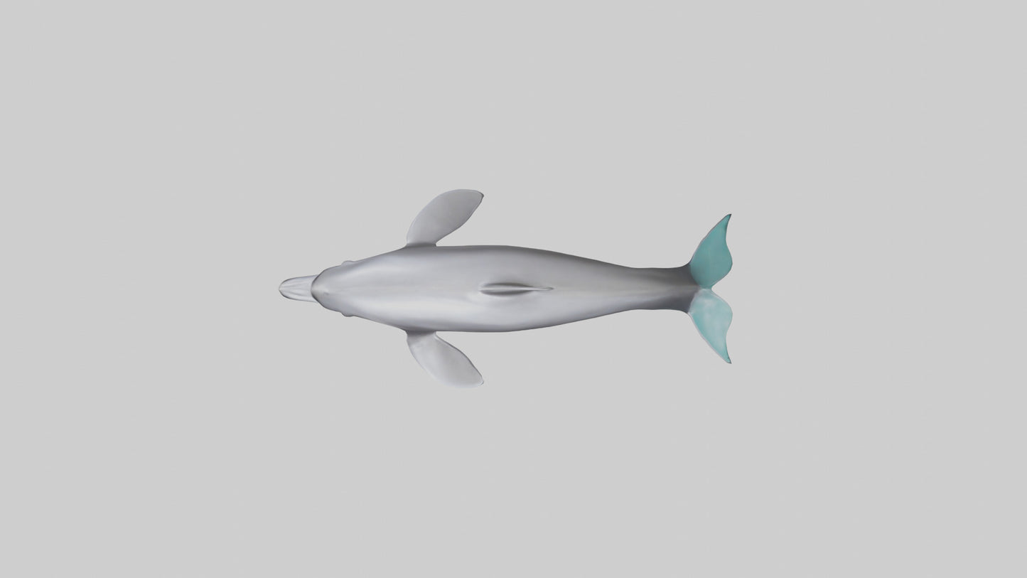 Dolphin Dorsal Fin Model VR / AR / low-poly