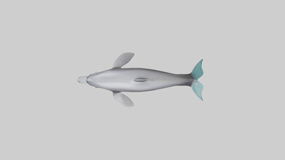 Dolphin Dorsal Fin Model VR / AR / low-poly