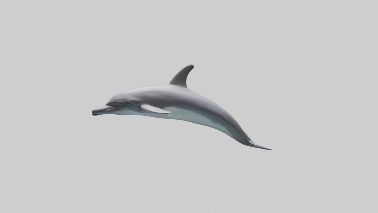 Dolphin Dorsal Fin Model VR / AR / low-poly