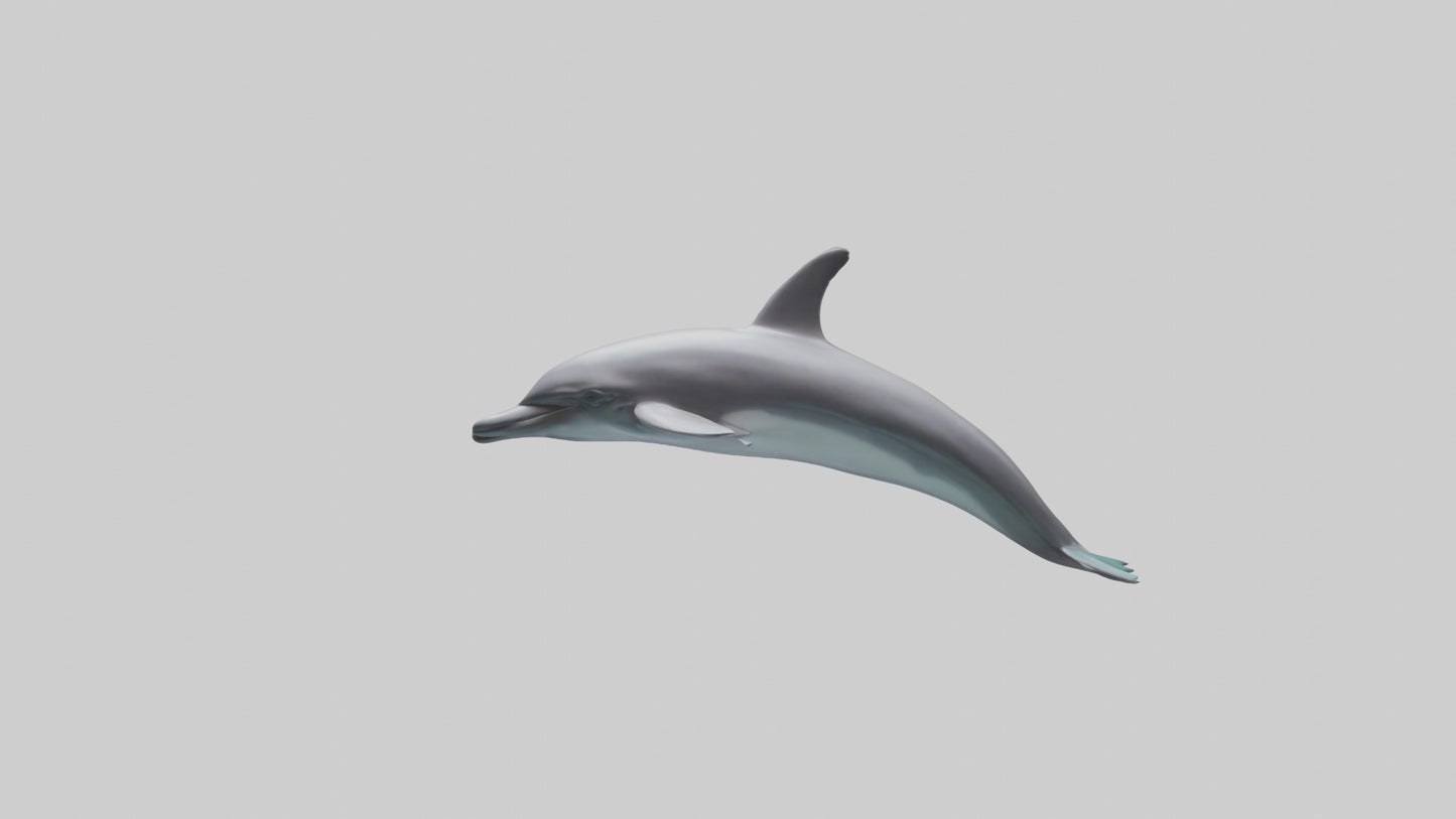 Dolphin Dorsal Fin Model VR / AR / low-poly