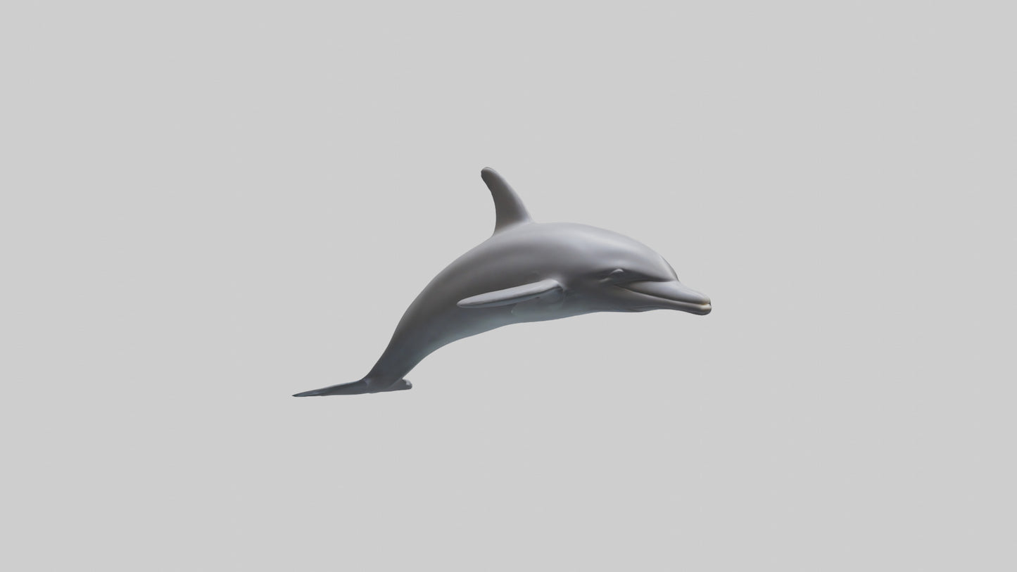 Dolphin Dorsal Fin Model VR / AR / low-poly