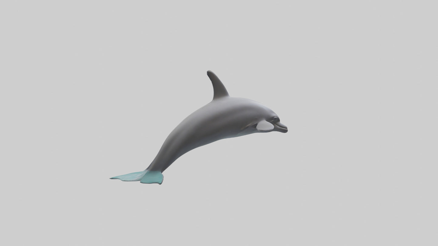Dolphin Dorsal Fin Model VR / AR / low-poly