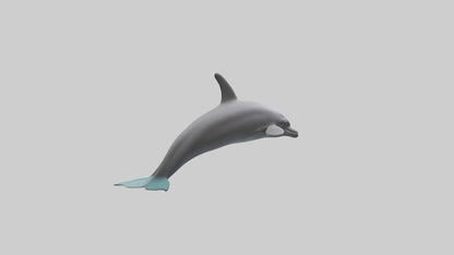Dolphin Dorsal Fin Model VR / AR / low-poly
