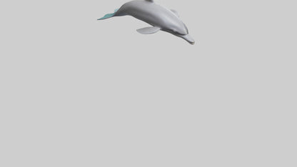 Dolphin Dorsal Fin Model VR / AR / low-poly