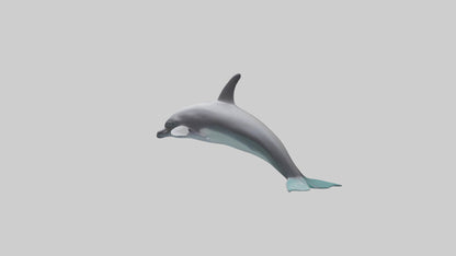 Dolphin Dorsal Fin Model VR / AR / low-poly