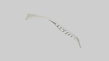Dolphin Fin Skeleton model 3D model