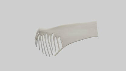 Dolphin Fin Skeleton model 3D model