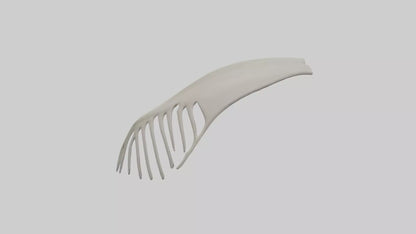 Dolphin Fin Skeleton model 3D model