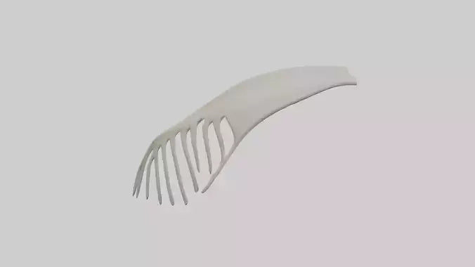 Dolphin Fin Skeleton model 3D model