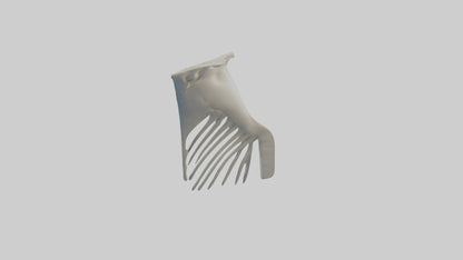 Dolphin Fin Skeleton model 3D model