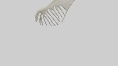 Dolphin Fin Skeleton model 3D model