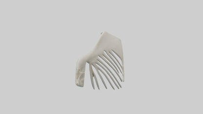 Dolphin Fin Skeleton model 3D model