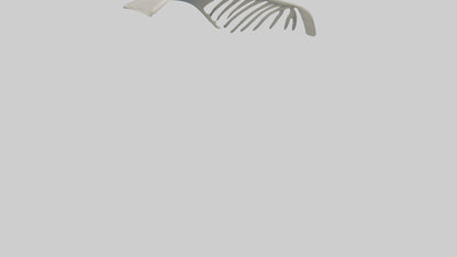 Dolphin Fin Skeleton model 3D model