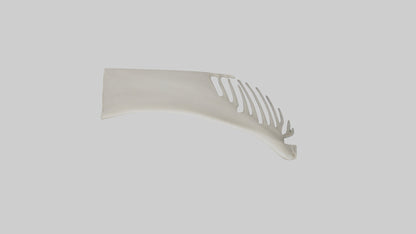 Dolphin Fin Skeleton model 3D model