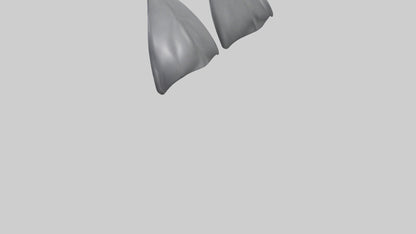 Dolphin Flippers 3D model