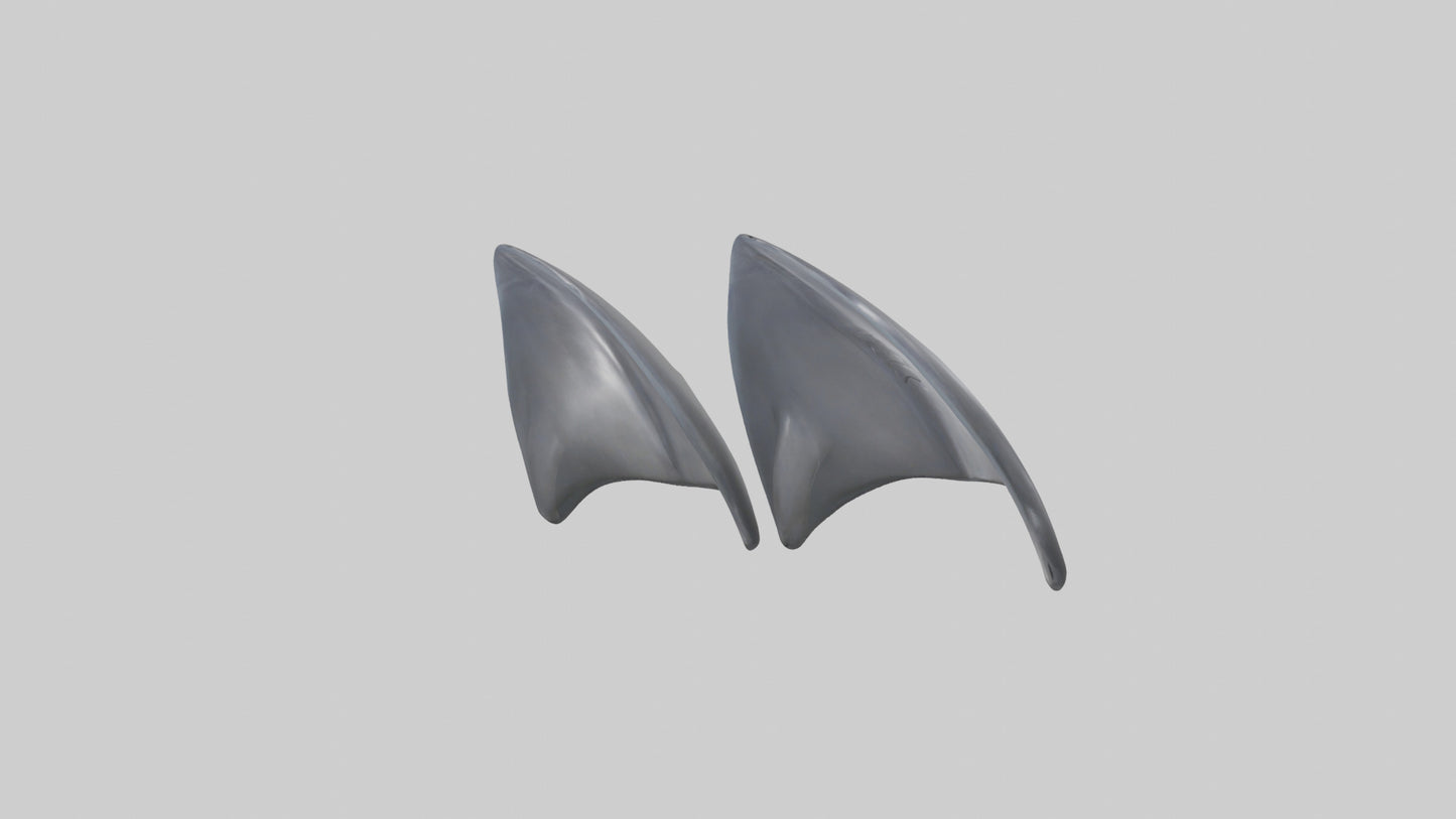 Dolphin Flippers 3D model