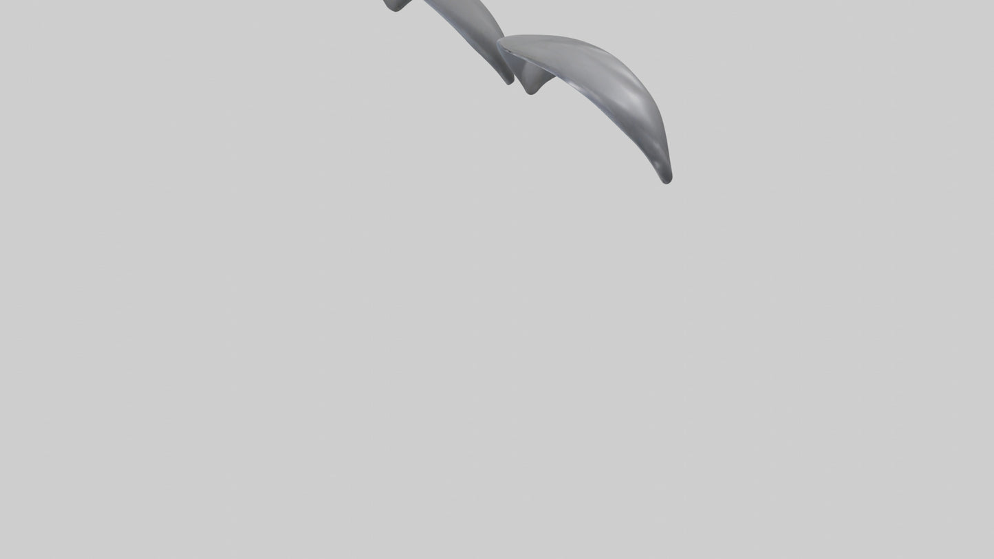 Dolphin Flippers 3D model