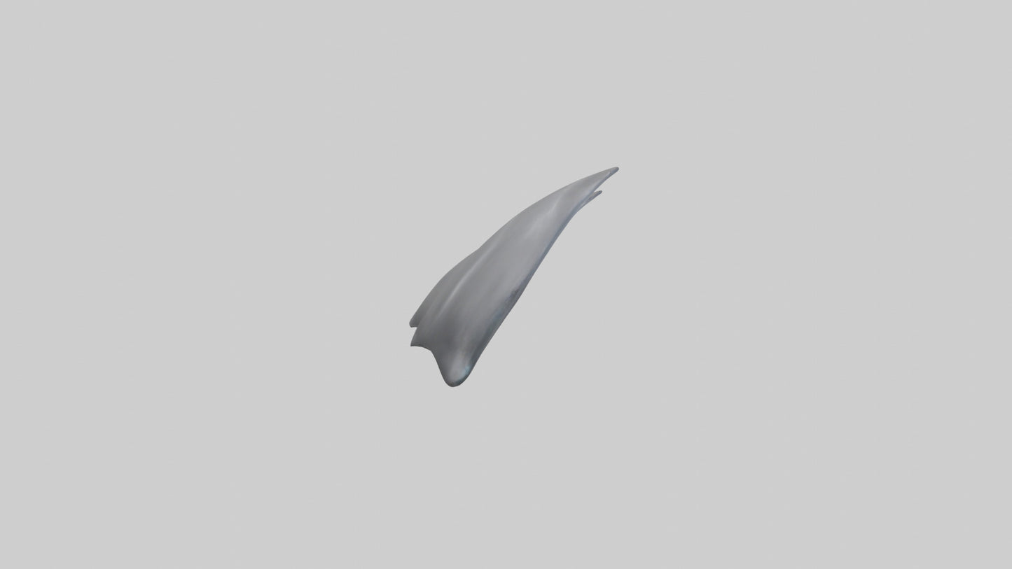 Dolphin Flippers 3D model