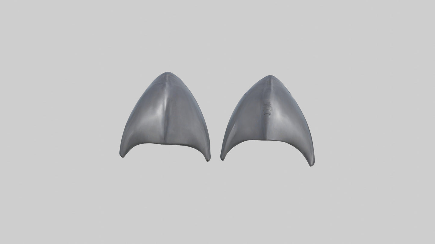 Dolphin Flippers 3D model