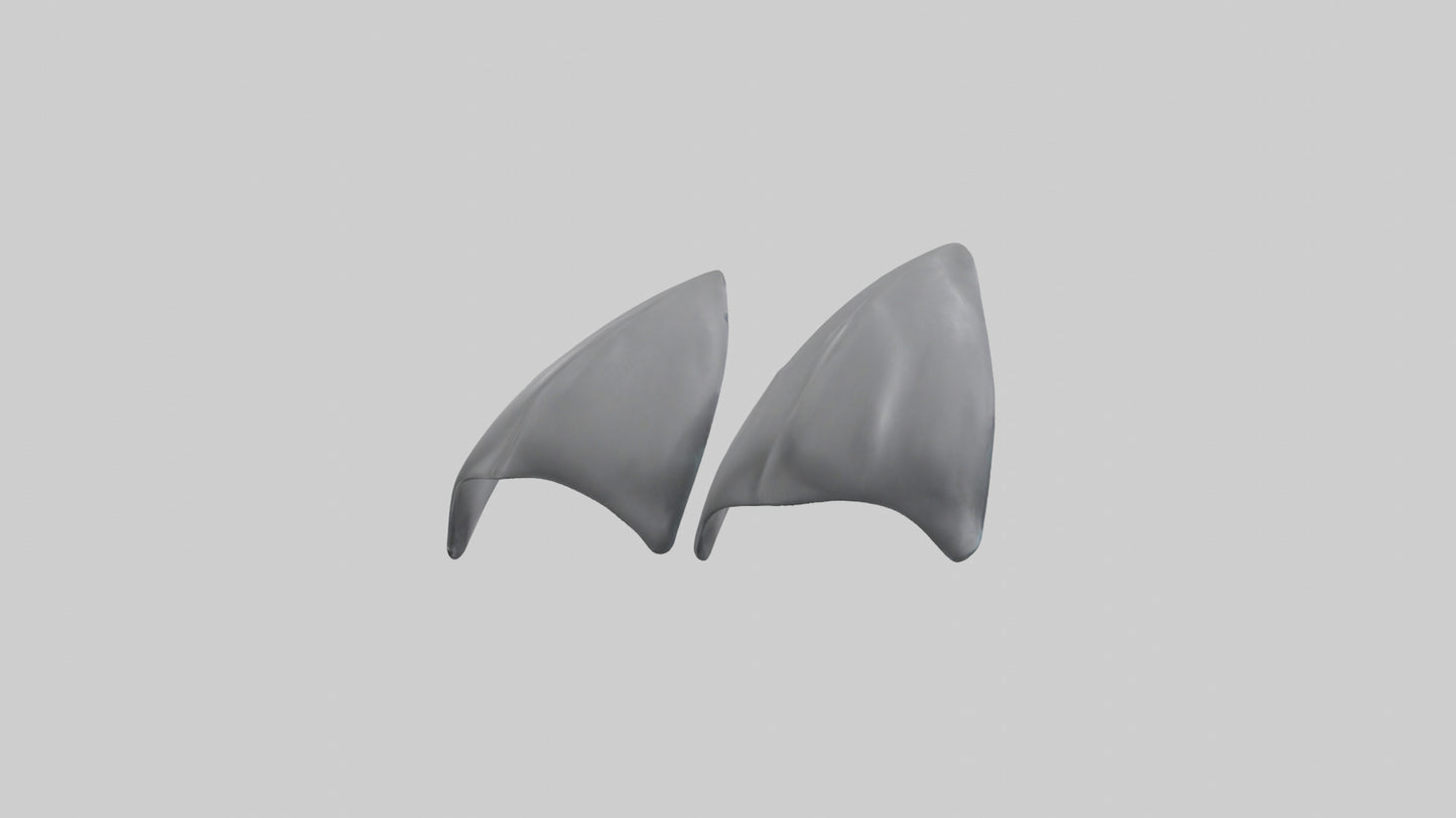 Dolphin Flippers 3D model