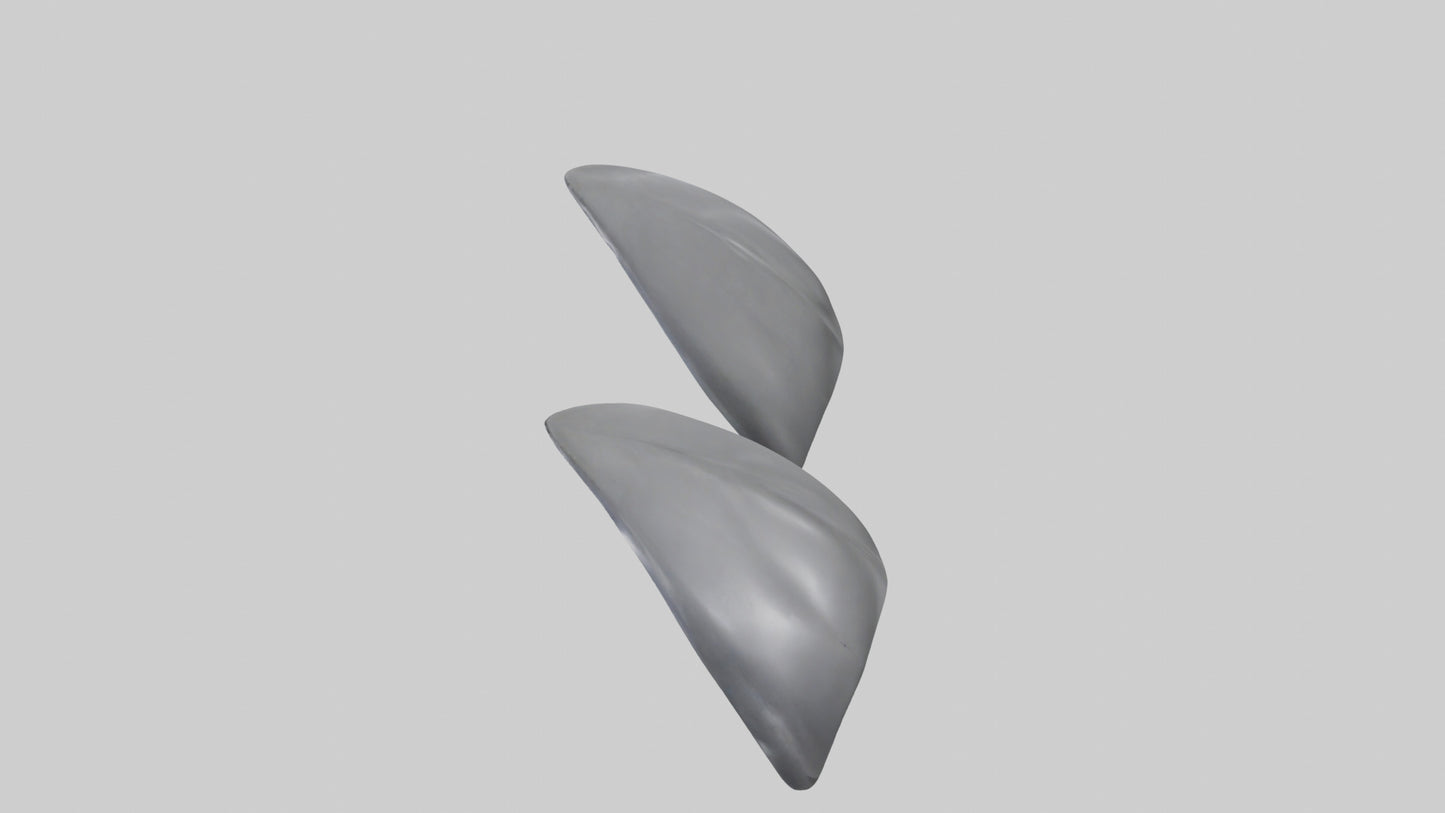 Dolphin Flippers 3D model