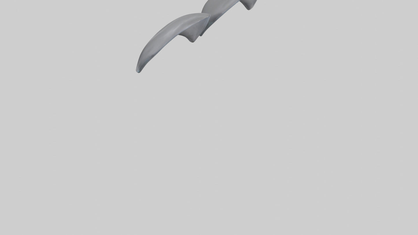 Dolphin Flippers 3D model
