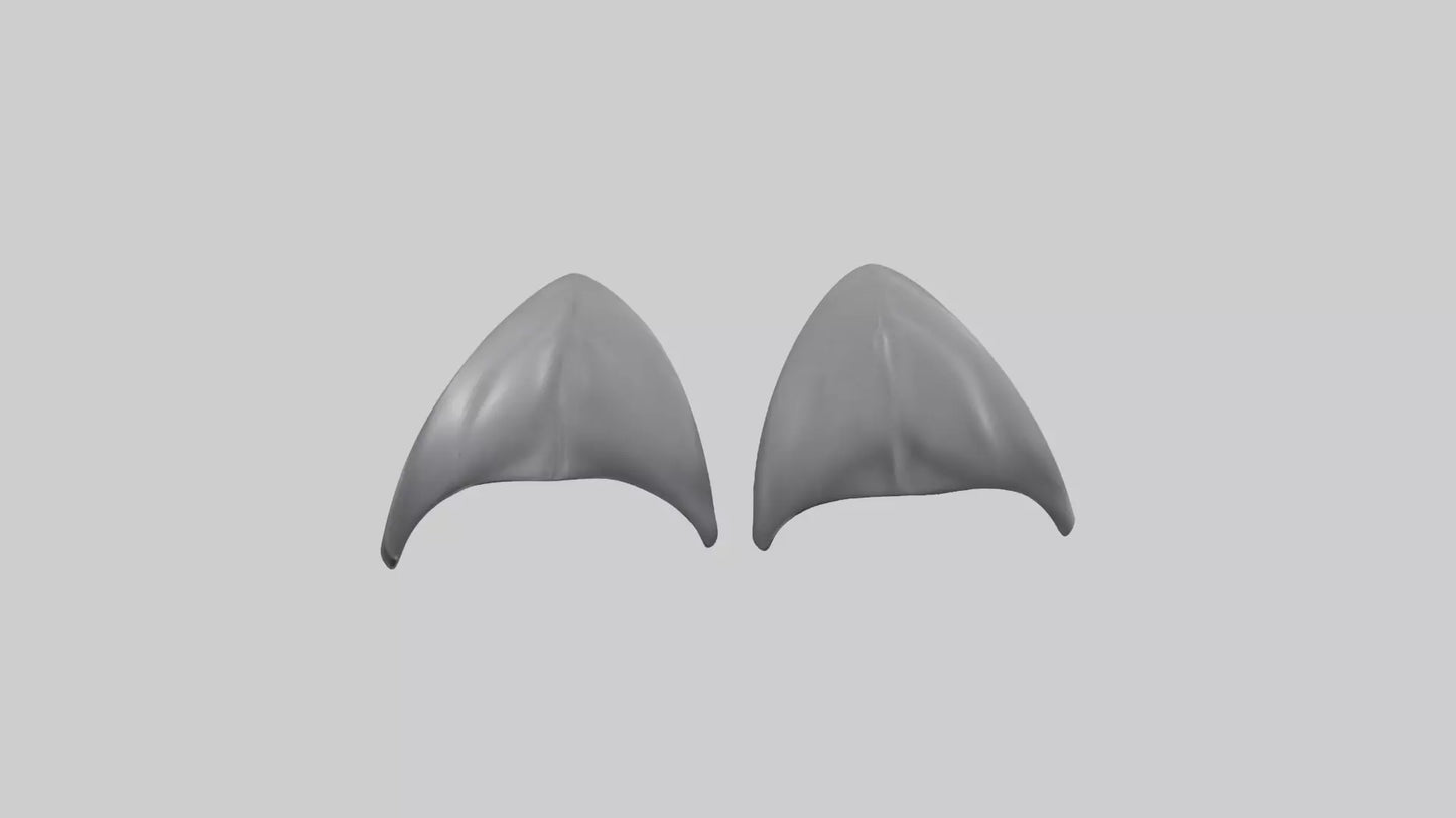 Dolphin Flippers 3D model