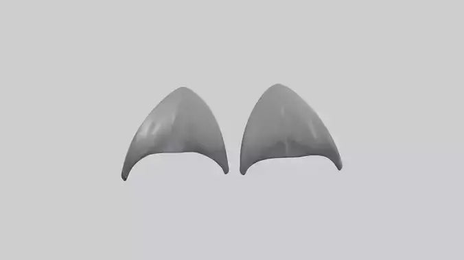 Dolphin Flippers 3D model