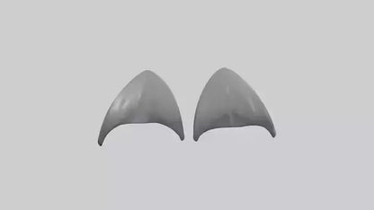 Dolphin Flippers 3D model