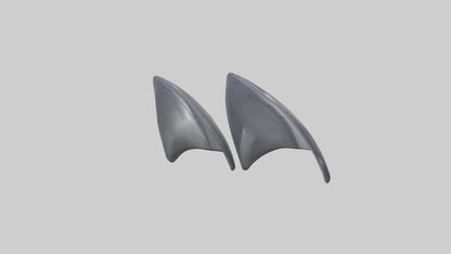 Dolphin Flippers 3D model