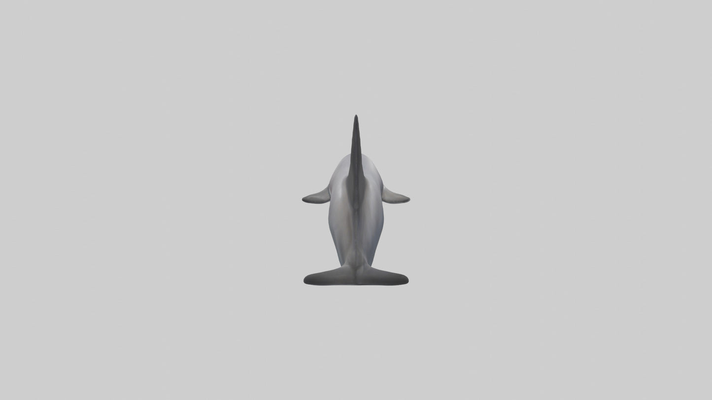 3D model Dolphin Fluke VR / AR / low-poly