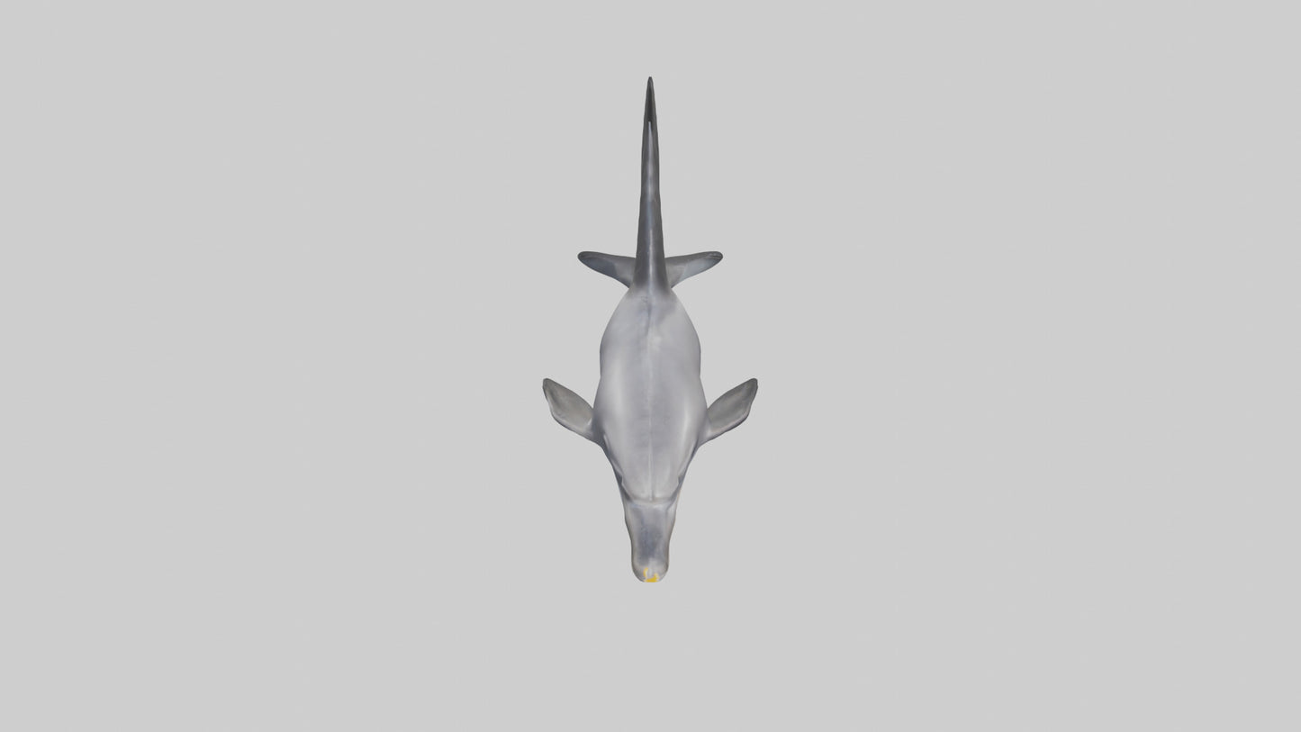 3D model Dolphin Fluke VR / AR / low-poly