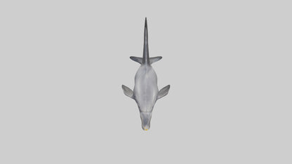 3D model Dolphin Fluke VR / AR / low-poly
