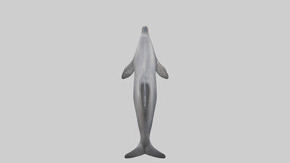 3D model Dolphin Fluke VR / AR / low-poly