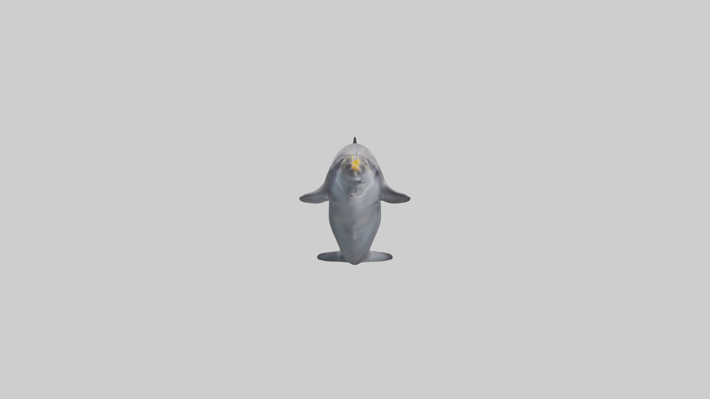 3D model Dolphin Fluke VR / AR / low-poly