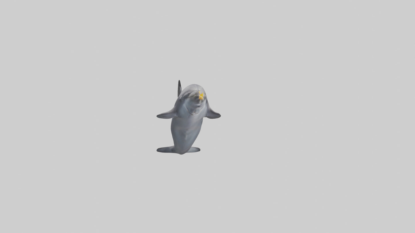 3D model Dolphin Fluke VR / AR / low-poly