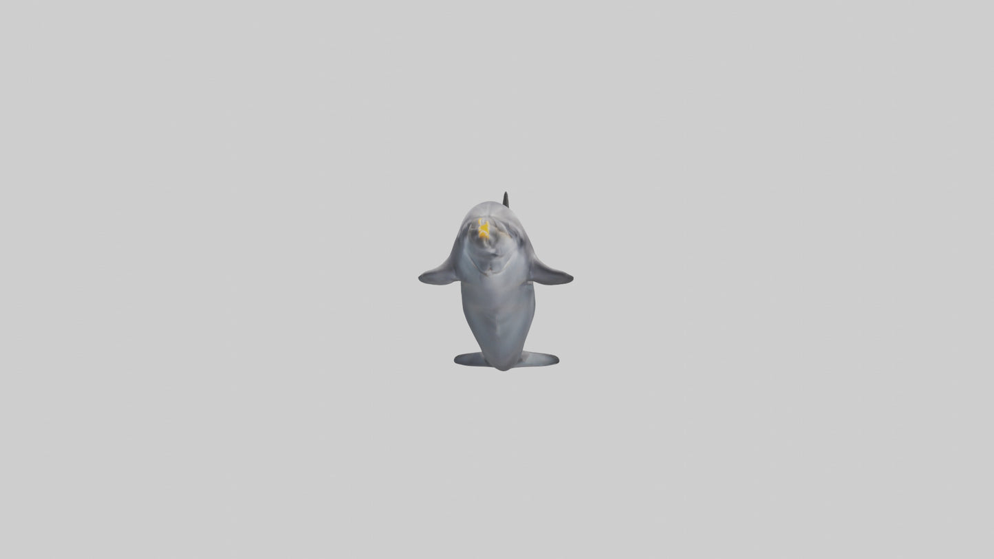3D model Dolphin Fluke VR / AR / low-poly