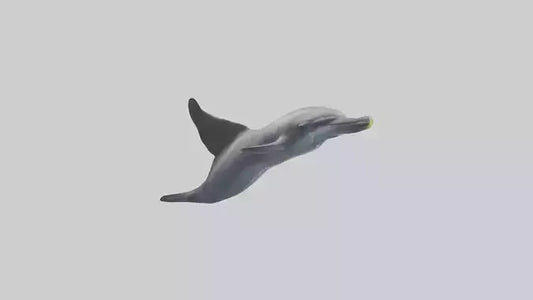 3D model Dolphin Fluke VR / AR / low-poly