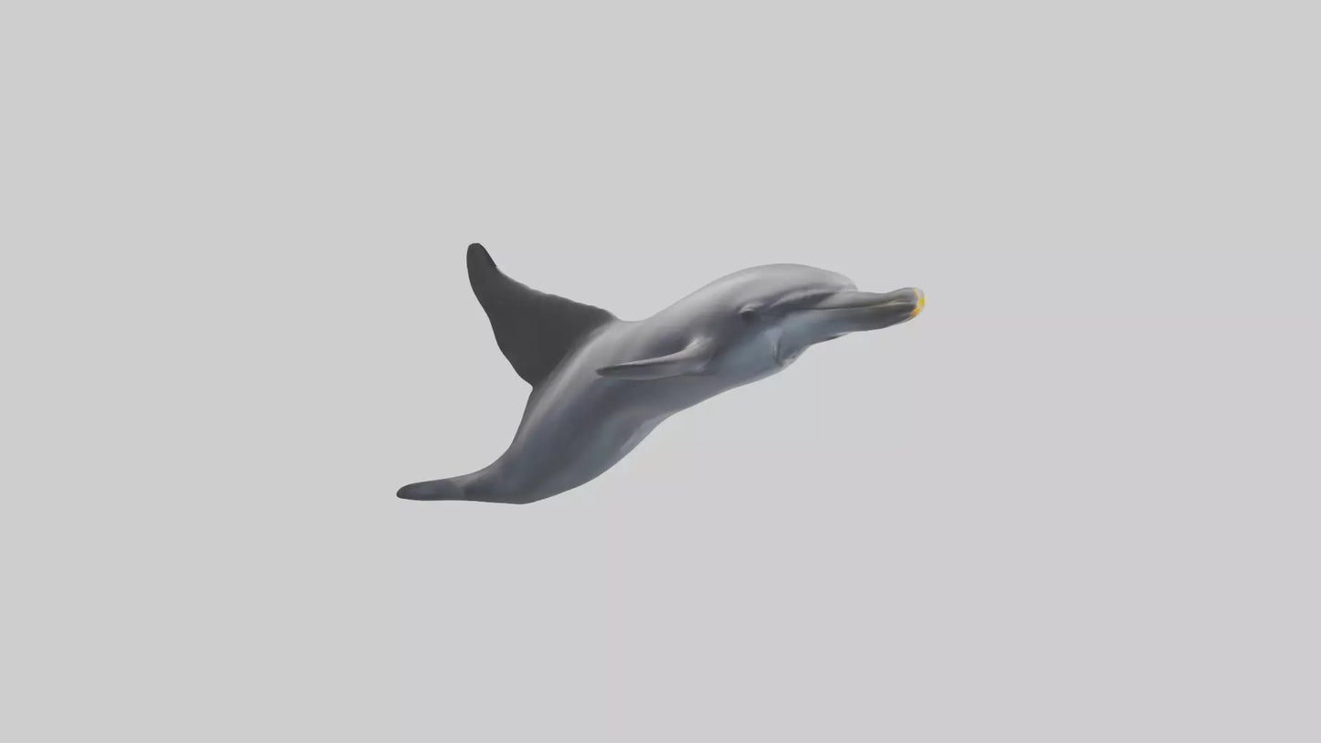 3D model Dolphin Fluke VR / AR / low-poly
