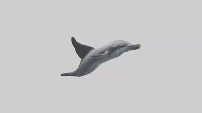 3D model Dolphin Fluke VR / AR / low-poly